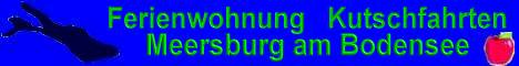  Bodenseeferienidyll Meersburg